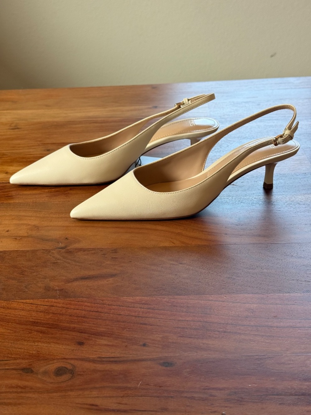 Mango Pointed Toe Slingbacks - Picture 6 of 8